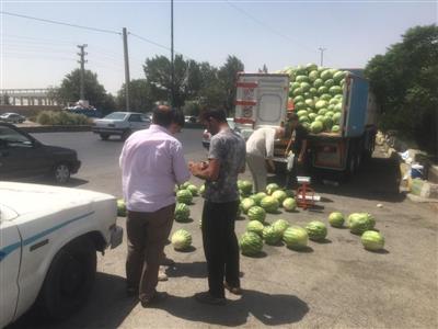 هندوانه فروشهای میدان امام خمینی(ره) جمع‌آوری شدند