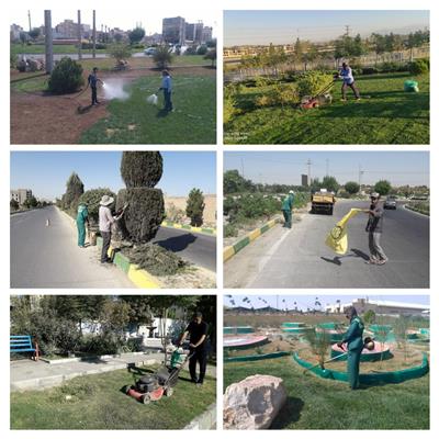 اجرای طرح نشاط فضای سبز در شهر رباط كریم